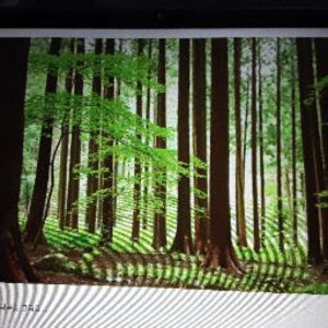 Meet your Posher, Yoojin